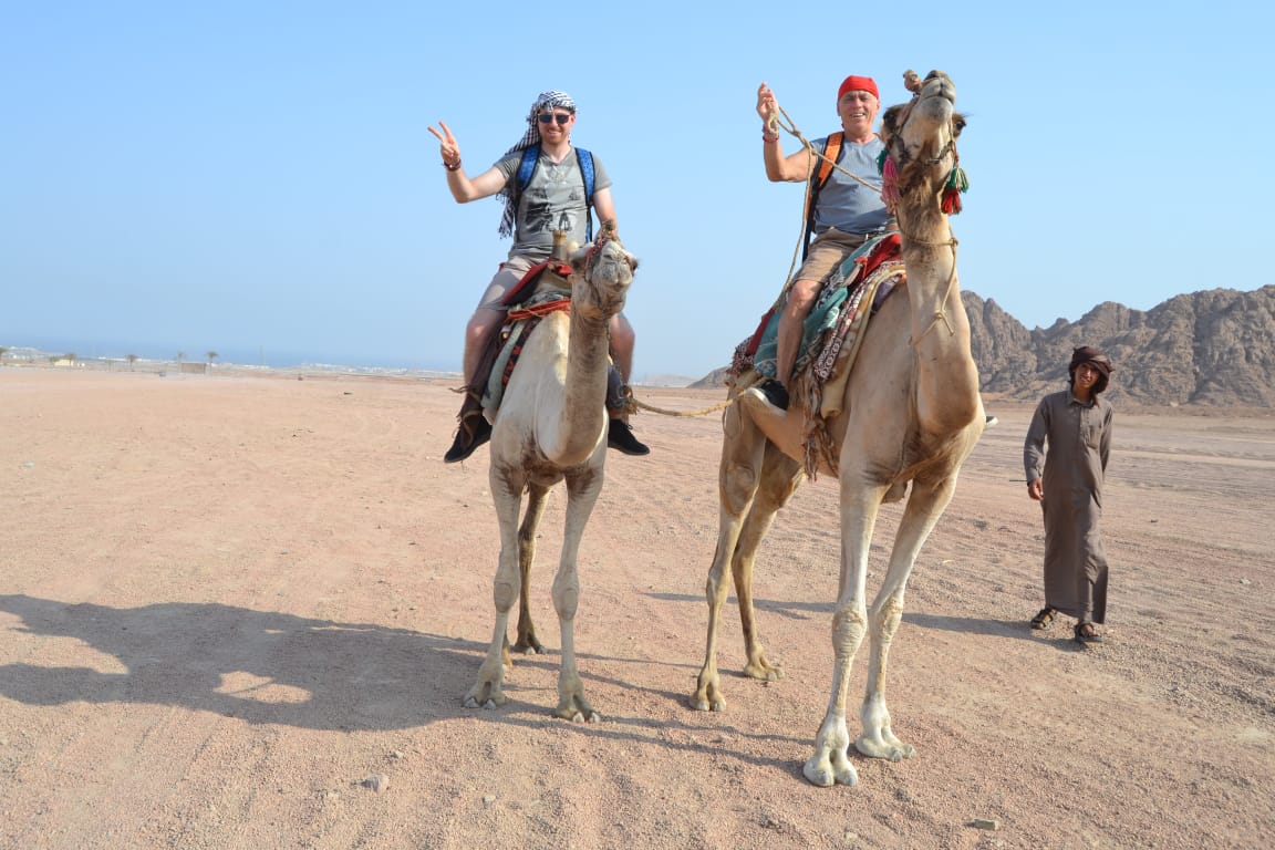 Ab Hurghada: Eine Stunde Kamelritt inklusive Beduinenführer & Getränke.
