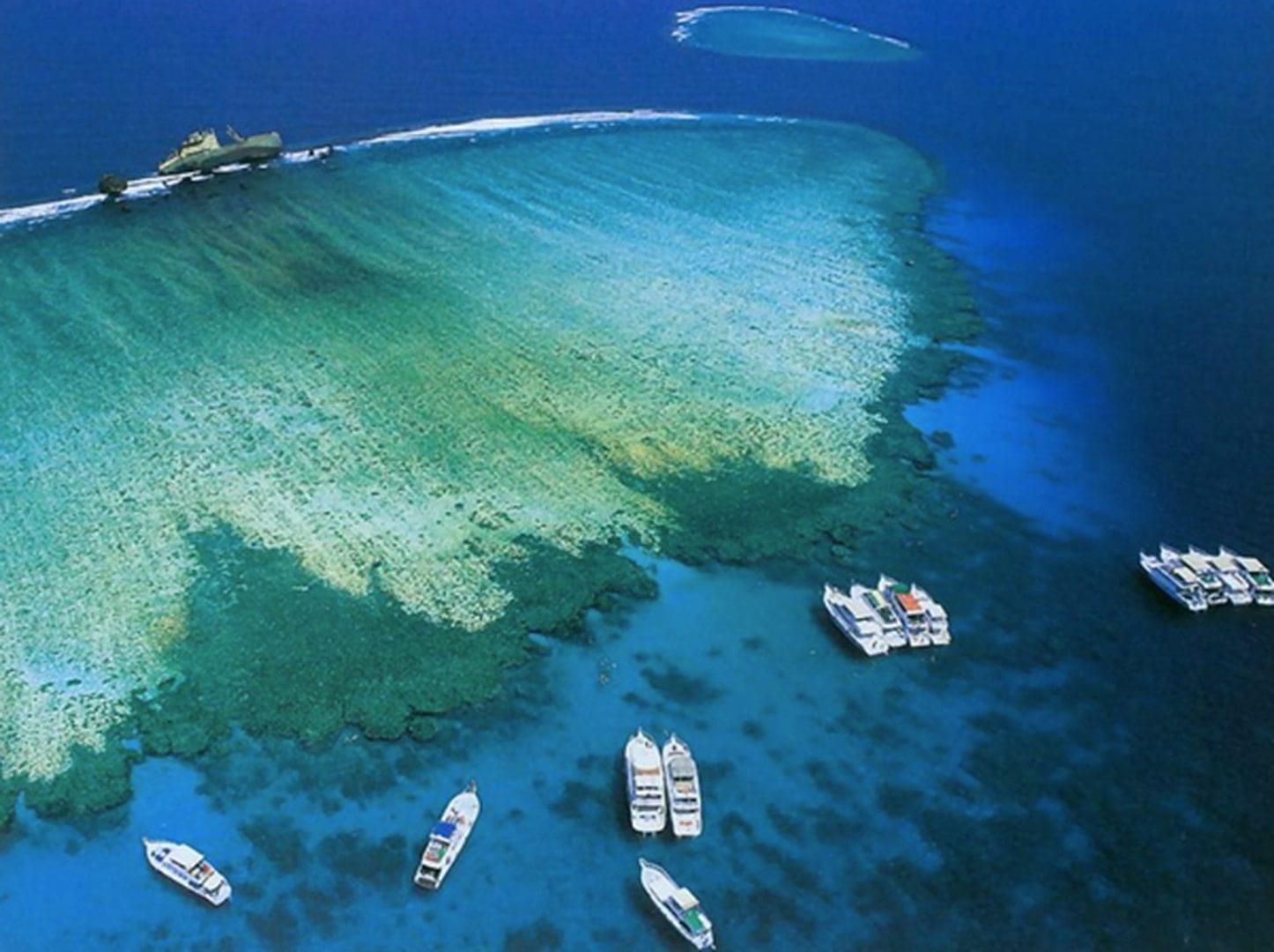  Schnorcheln-Tauchen Tiran Insel mit dem Boot