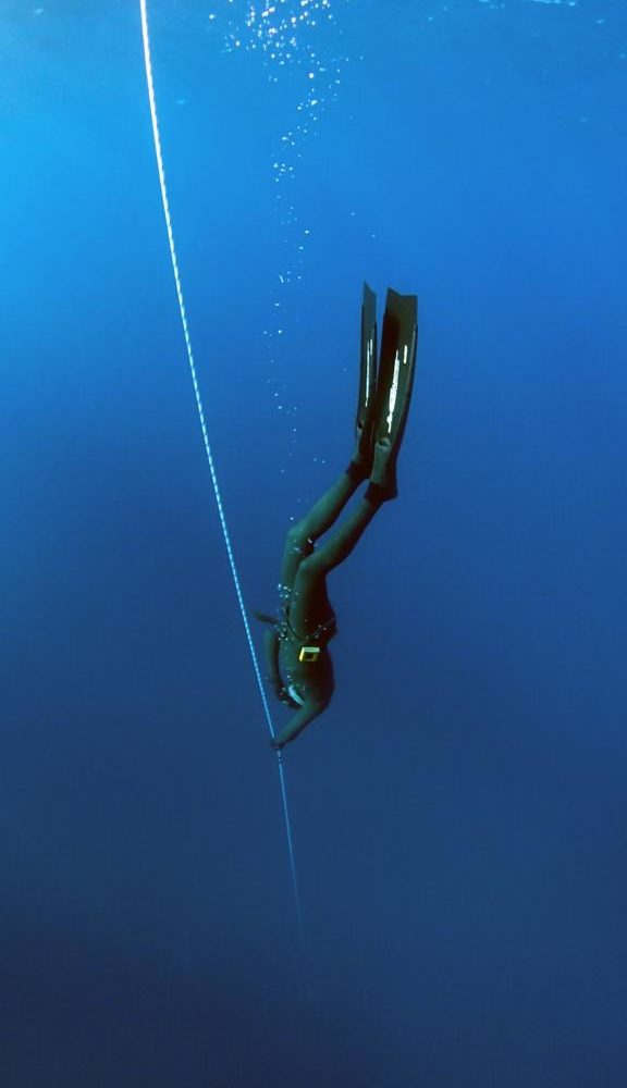 Padi Tauchen Marsa Alam