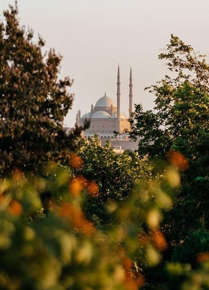 Mohamed Ali Moschee Park