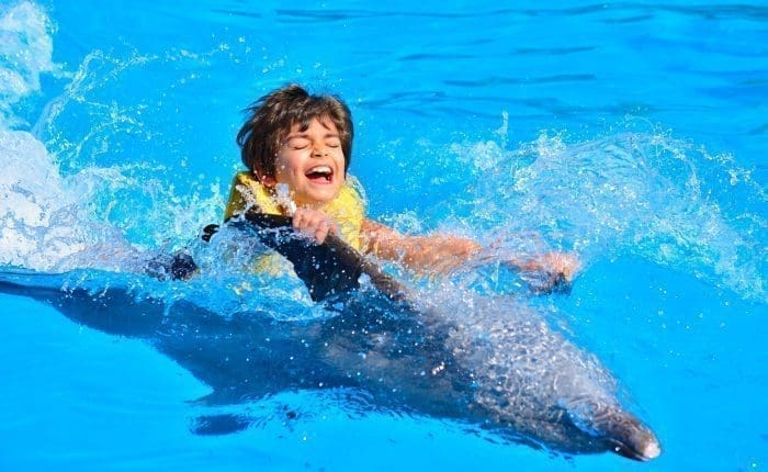 Delphinen Show, Delohinen schwimmen, Schlangen Show, Delphinen am Strand, Exclusive mit Trivaeg