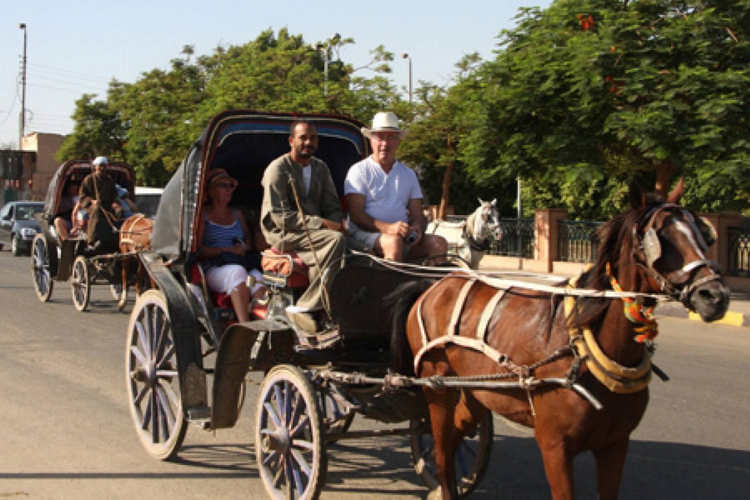 Pferdkuche, Luxor, Nilefahrt, Stadtrundfahrt Exclusive mit Trivaeg