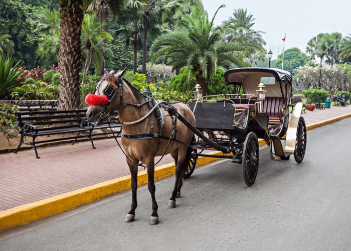 Pferdkuche, Luxor, Nilefahrt, Stadtrundfahrt Exclusive mit Trivaeg