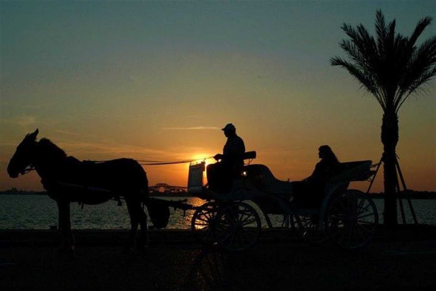 Pferdkuche, Luxor, Nilefahrt, Stadtrundfahrt Exclusive mit Trivaeg