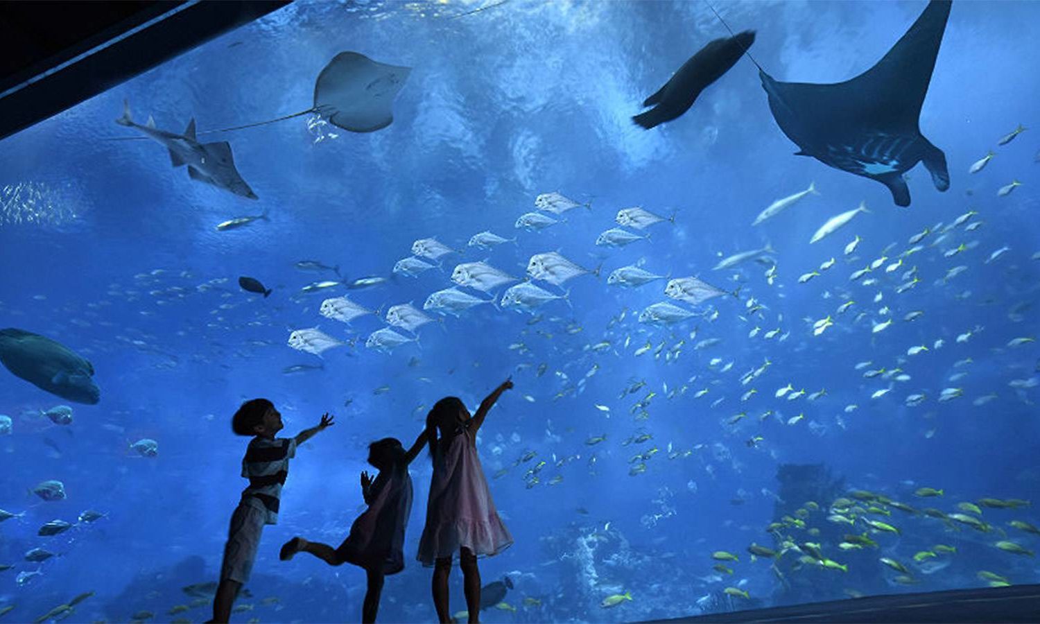 Grand Aquarium Hurghada