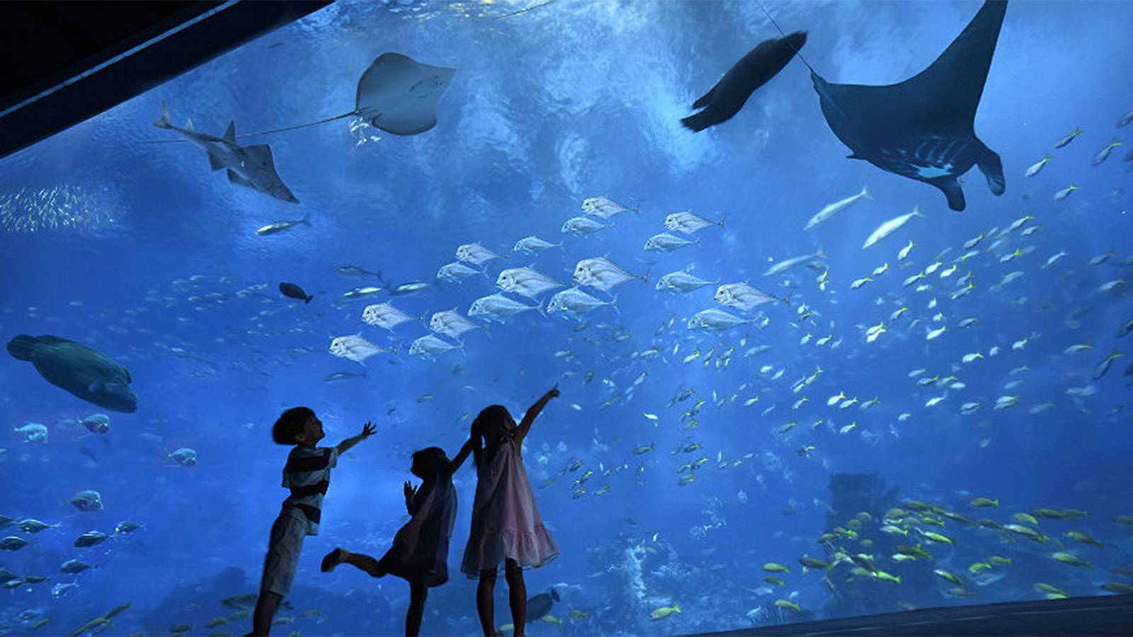 Grand Aquarium Hurghada