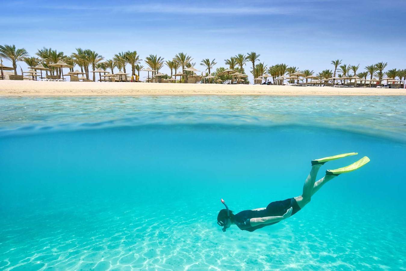 promenade à dos de chameau marsa alam